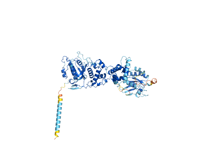 AlphaFold predicted structure of GEM1