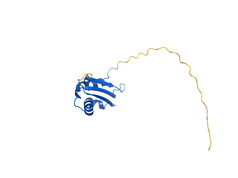 AlphaFold predicted structure of BOL3