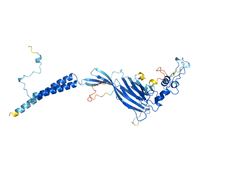 AlphaFold predicted structure of ERV46