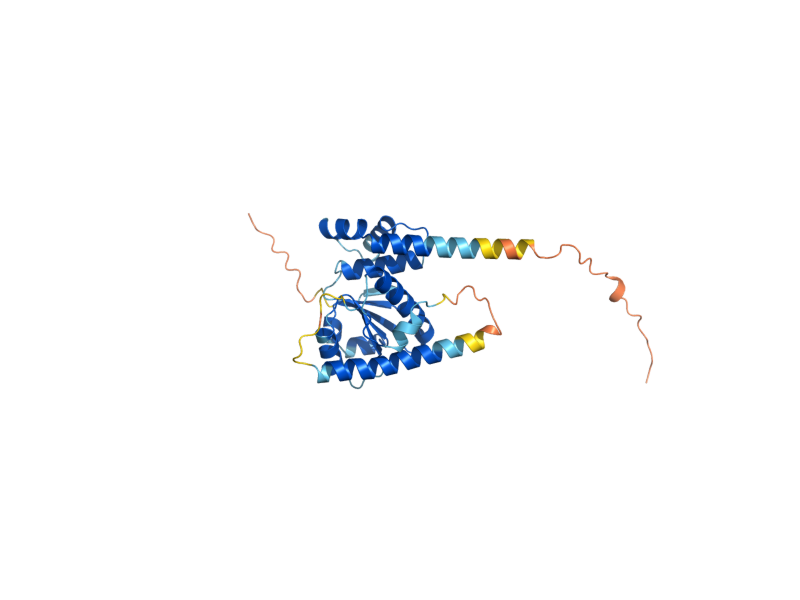 AlphaFold predicted structure of YAL037W