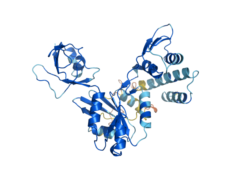 AlphaFold predicted structure of RBG1