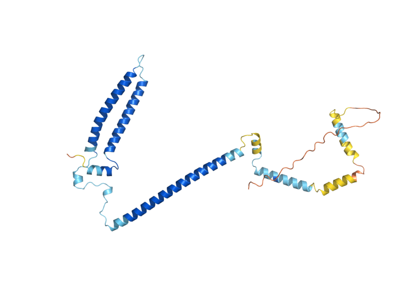 AlphaFold predicted structure of MTW1