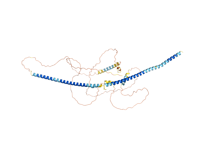 AlphaFold predicted structure of FRT2