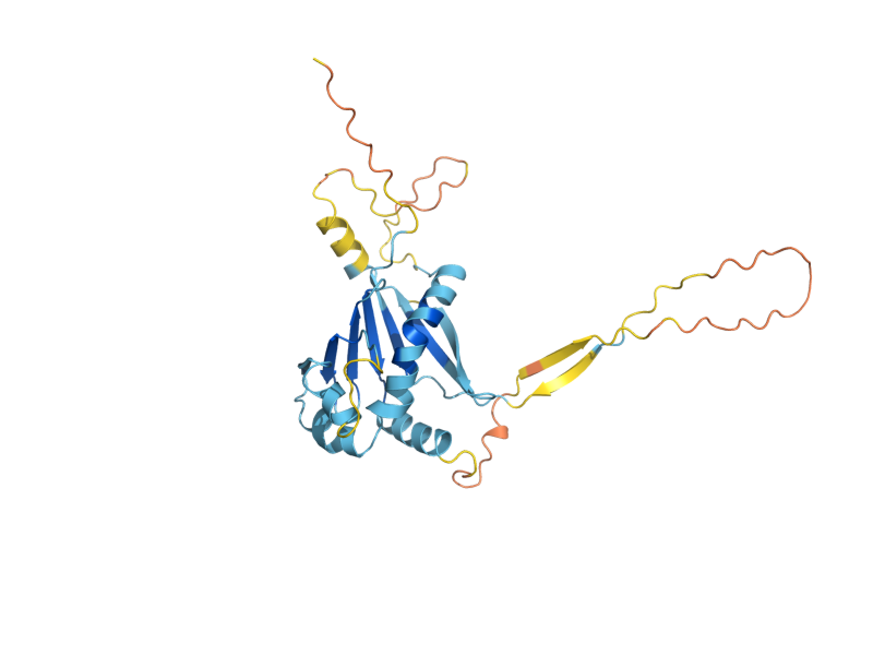 AlphaFold predicted structure of SAW1