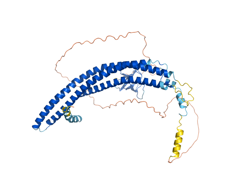 AlphaFold predicted structure of RVS167