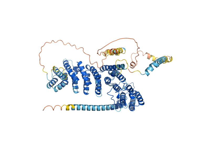 AlphaFold predicted structure of NOC2