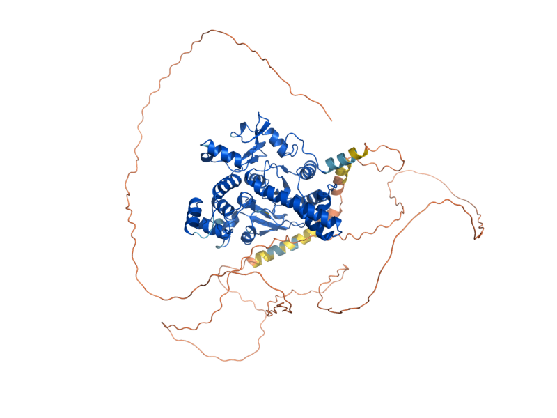 AlphaFold predicted structure of EXO1