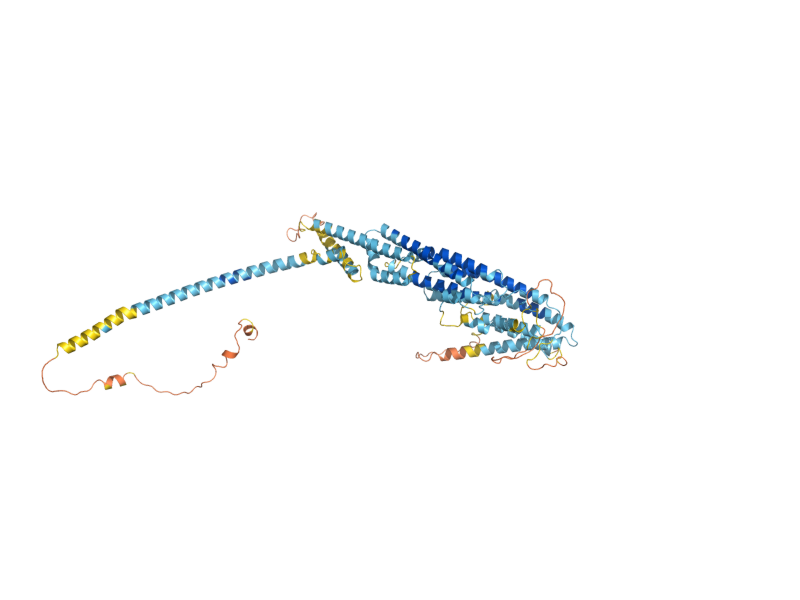 AlphaFold predicted structure of VPS52