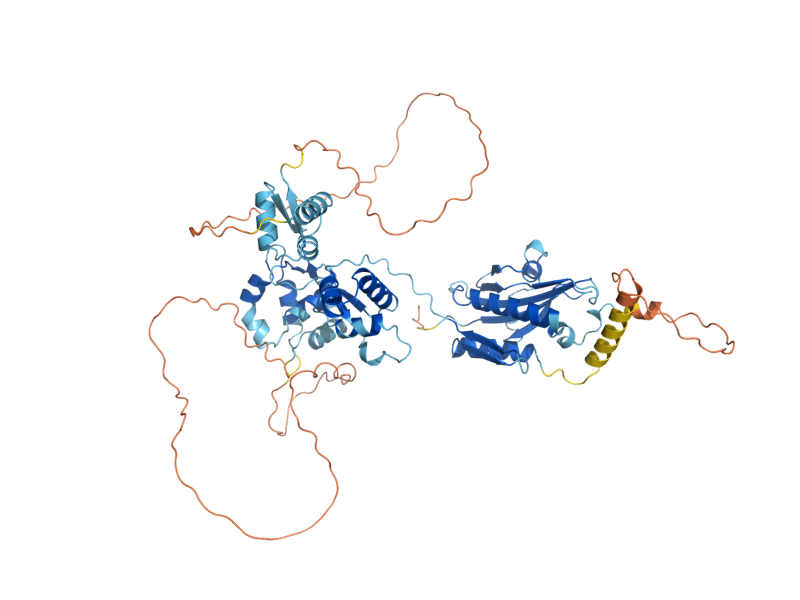 AlphaFold predicted structure of NPR2