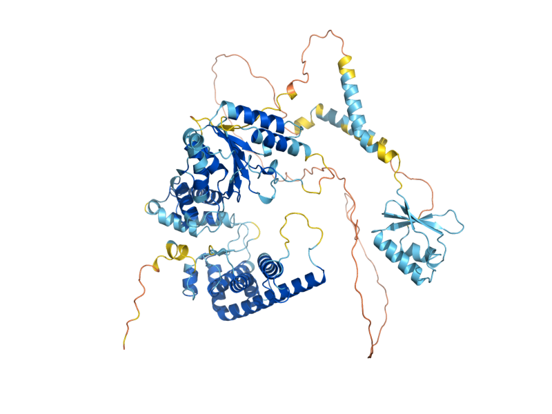 AlphaFold predicted structure of AFG3