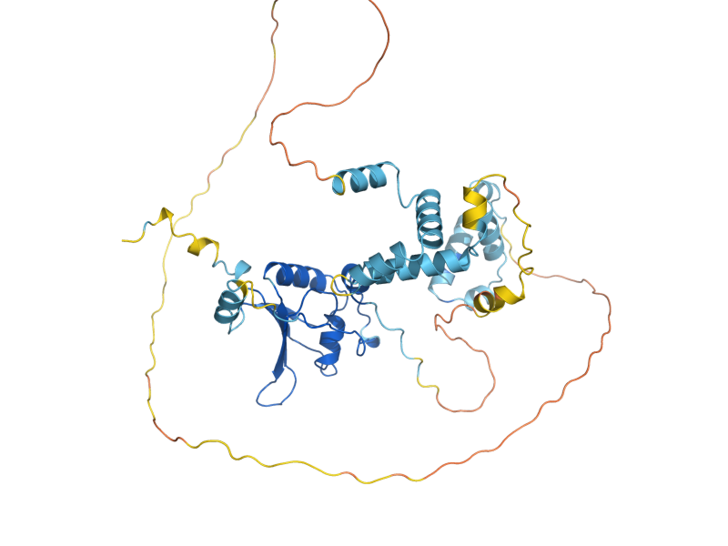 AlphaFold predicted structure of PTI1