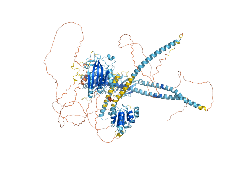 AlphaFold predicted structure of SLN1