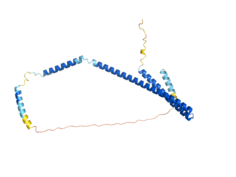 AlphaFold predicted structure of SNF7