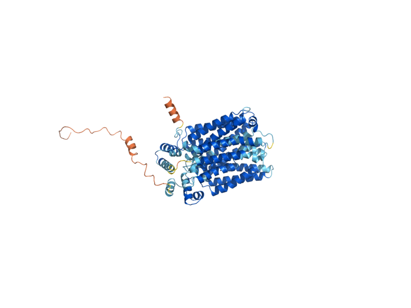AlphaFold predicted structure of STL1