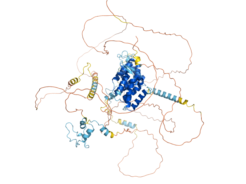AlphaFold predicted structure of TIF4632