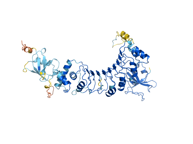 AlphaFold predicted structure of PAC2
