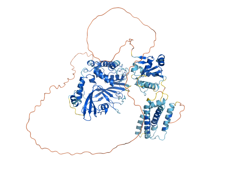 AlphaFold predicted structure of UBP5
