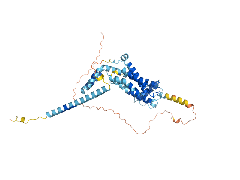 AlphaFold predicted structure of OXA1