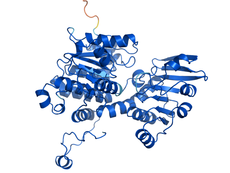 AlphaFold predicted structure of SAH1