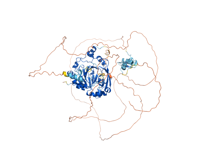 AlphaFold predicted structure of RPH1