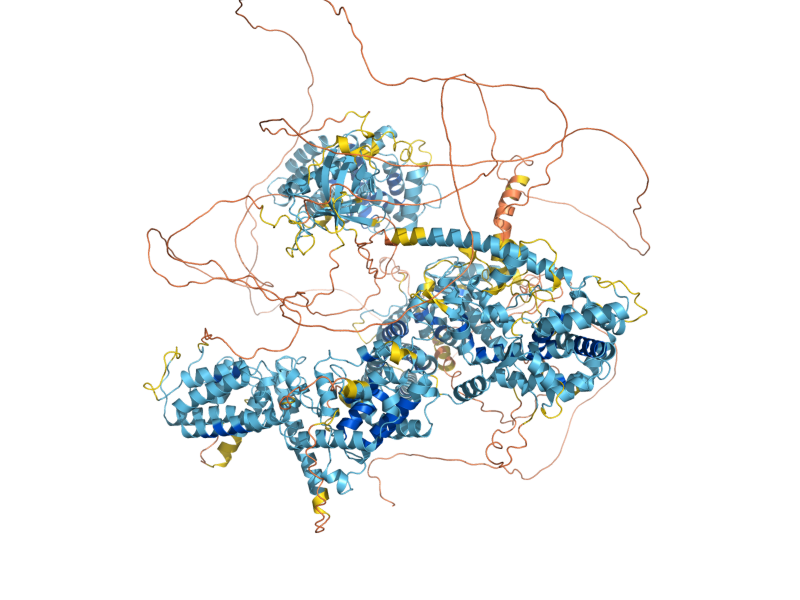 AlphaFold predicted structure of BEM2