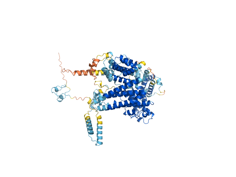 AlphaFold predicted structure of TOG1