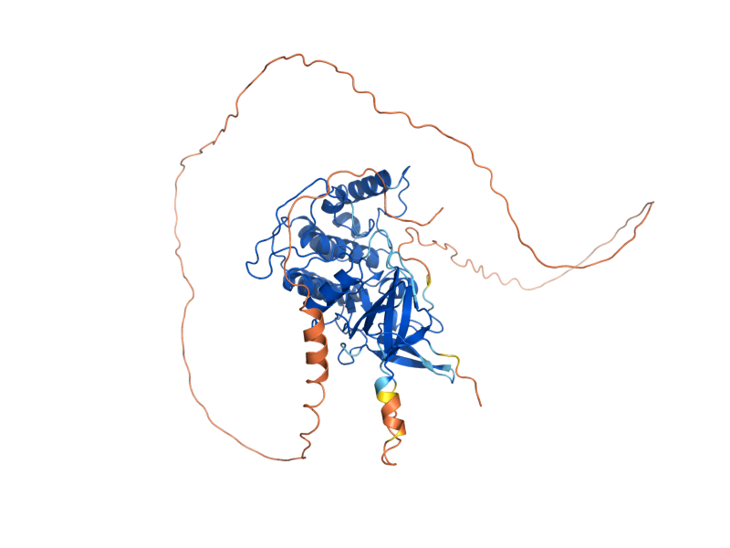 AlphaFold predicted structure of YCK3