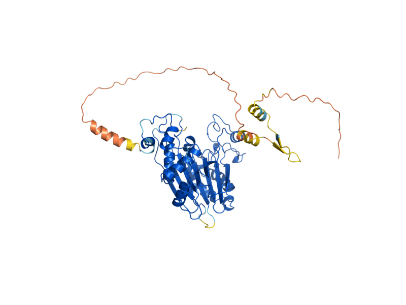 AlphaFold predicted structure of PTC2