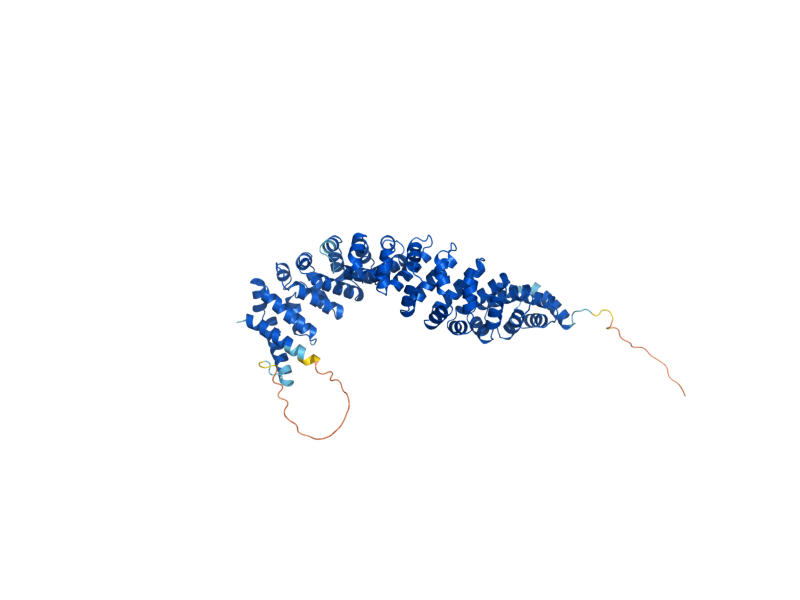 AlphaFold predicted structure of VAC8