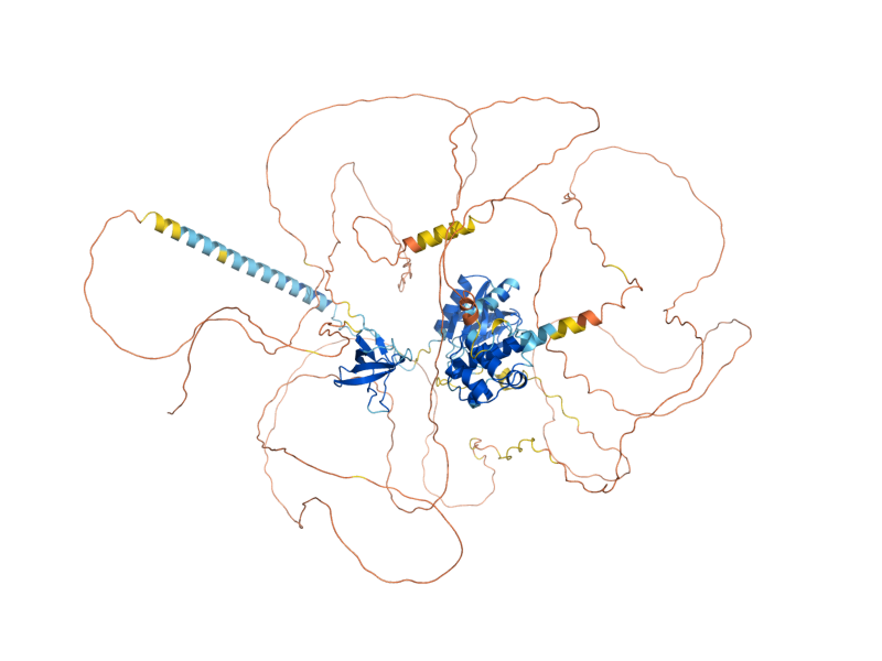 AlphaFold predicted structure of BOI2