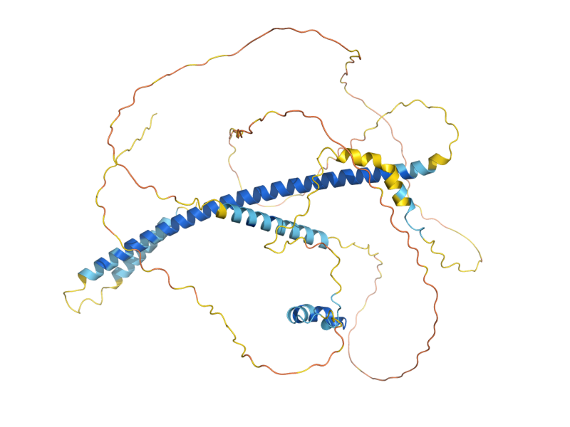 AlphaFold predicted structure of ACA1