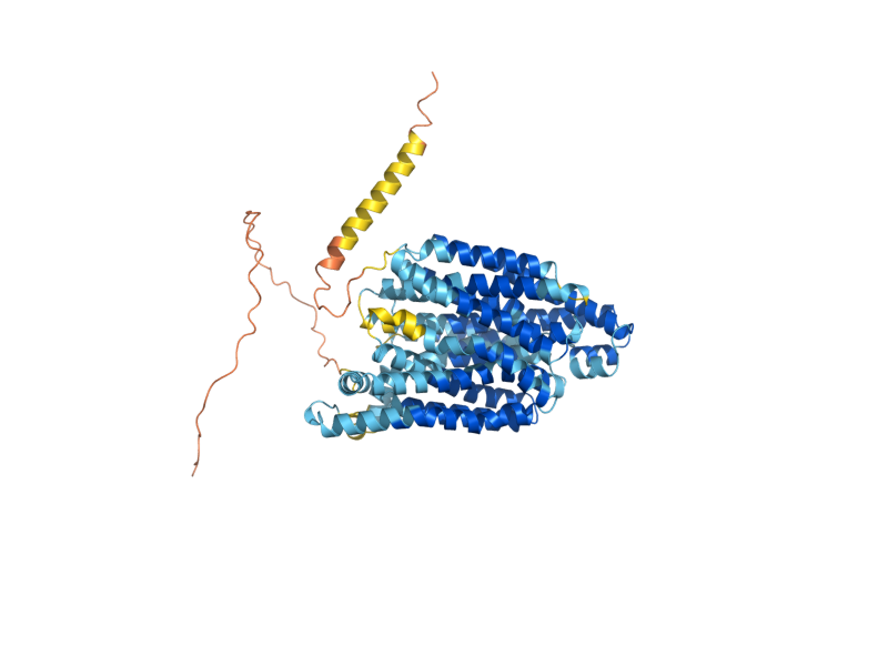AlphaFold predicted structure of SIT1