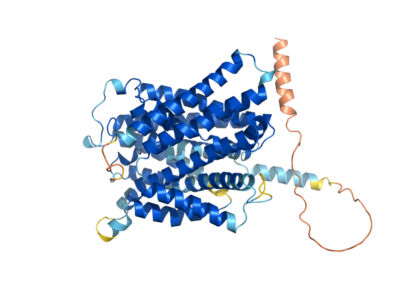 AlphaFold predicted structure of AVT2