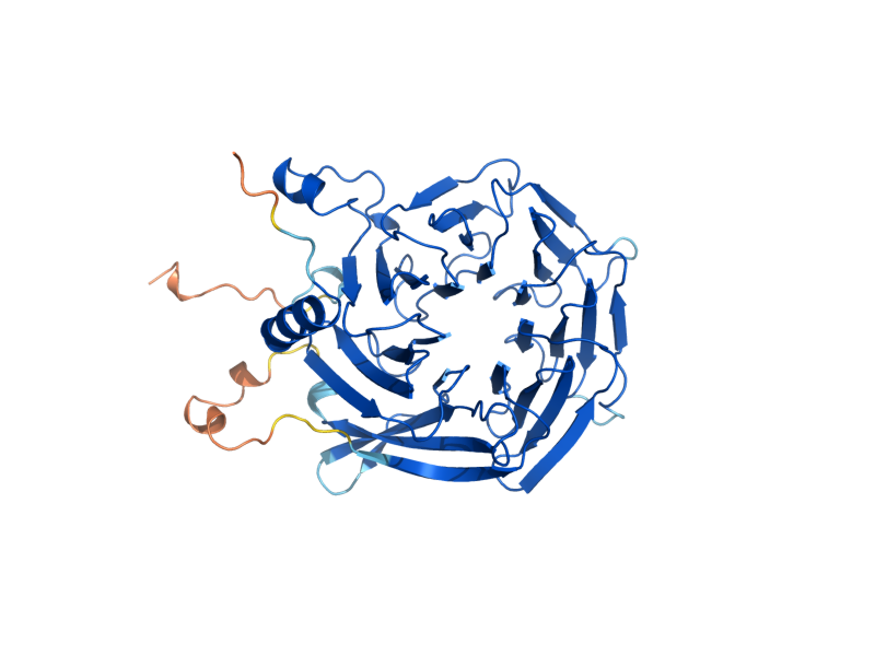 AlphaFold predicted structure of HAT2