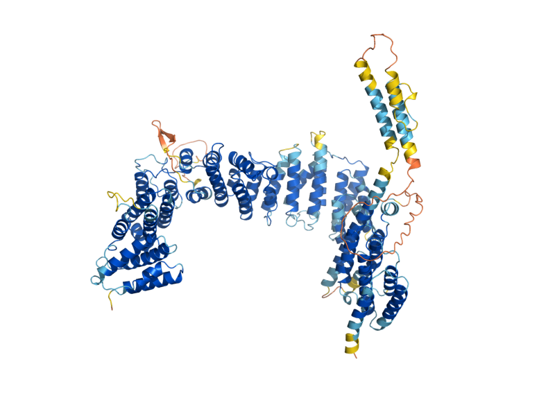 AlphaFold predicted structure of POL5