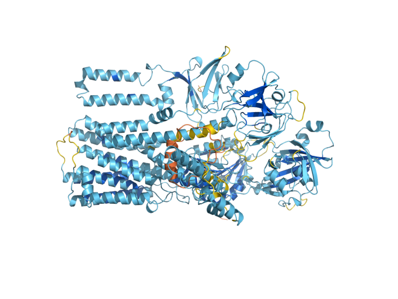 AlphaFold predicted structure of SPF1