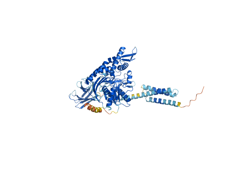 AlphaFold predicted structure of ECM10
