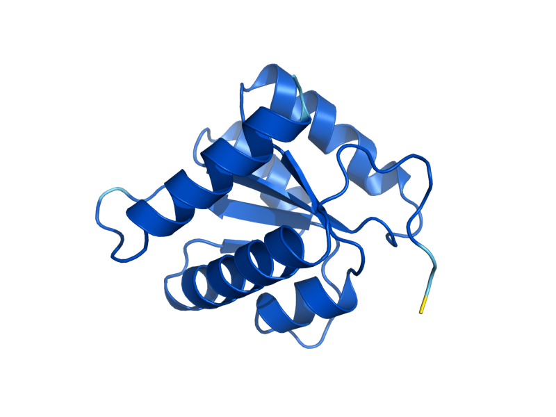 AlphaFold predicted structure of SNU13