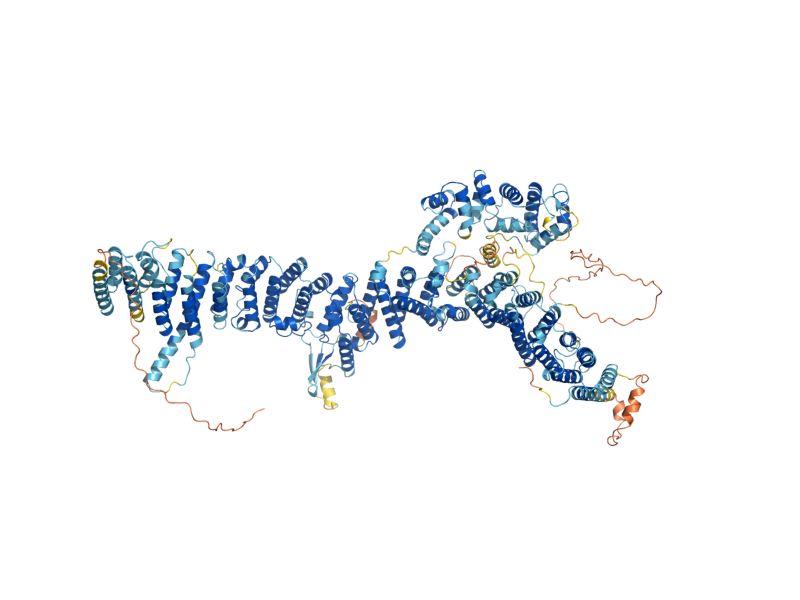 AlphaFold predicted structure of GEA2