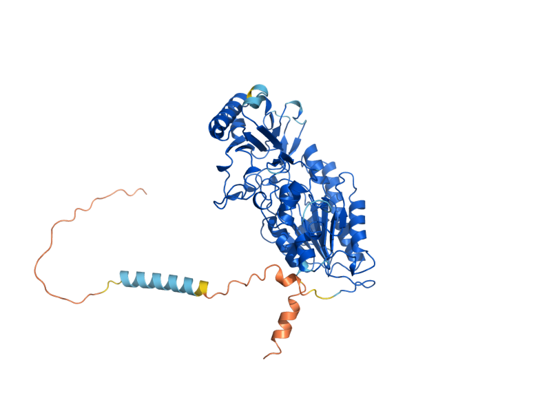 AlphaFold predicted structure of NPP2