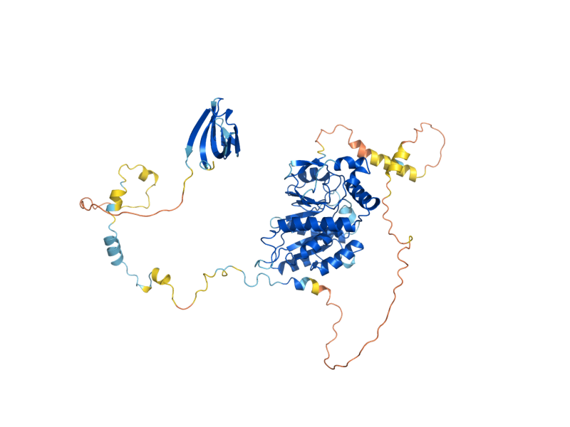 AlphaFold predicted structure of EDC3