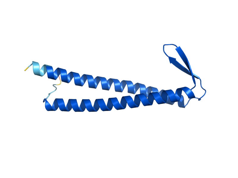 AlphaFold predicted structure of GIM4