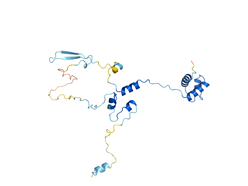 AlphaFold predicted structure of NOP16