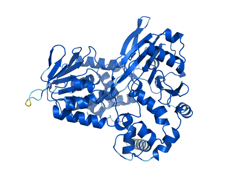 AlphaFold predicted structure of HEM14