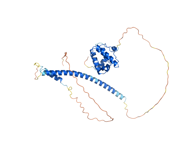 AlphaFold predicted structure of BIM1
