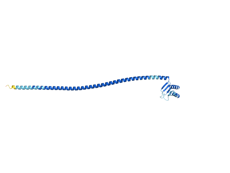 AlphaFold predicted structure of SPC25