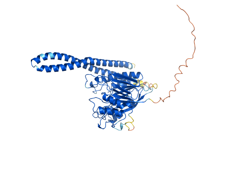 AlphaFold predicted structure of ISC1