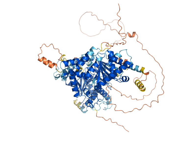 AlphaFold predicted structure of YAT2