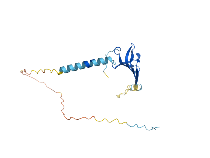 AlphaFold predicted structure of SMB1