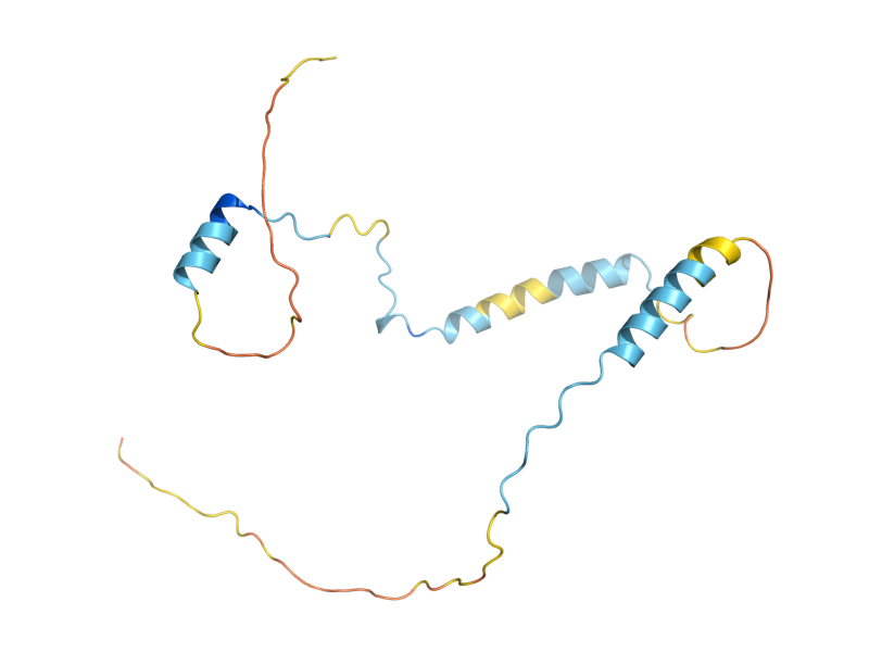 AlphaFold predicted structure of CHZ1